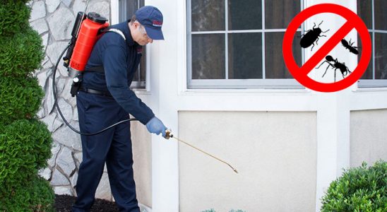 Cihanbeyli Dezenfeksiyon böcek ilaçlama ve haşere kontrolü — ilaclama-tr.com